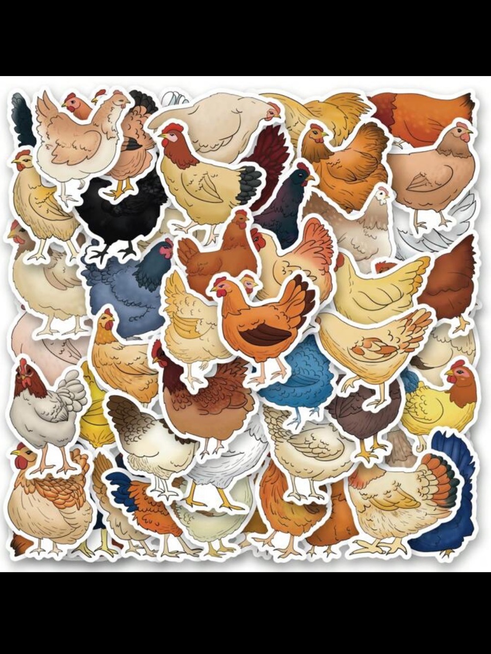 New! Large Chicken Sticker Pack of 25 Individual Stickers Multi-Color Assortment - Picture 2 of 11
